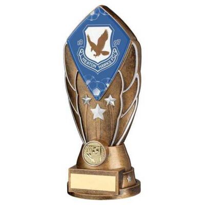 Custom Awards Thumbnail