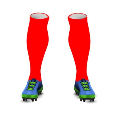 Sedgley White Lions Home Socks Thumbnail