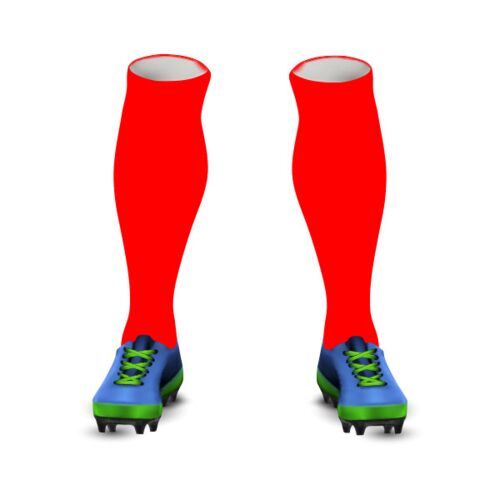 Sedgley White Lions Home Socks Thumbnail