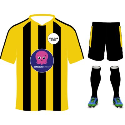 Octopus Energy Striped Design Yellow/Black Adults Bundle Thumbnail