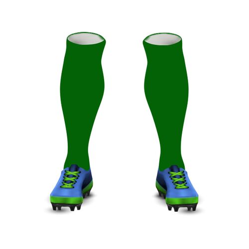 ROIWFA Socks Thumbnail