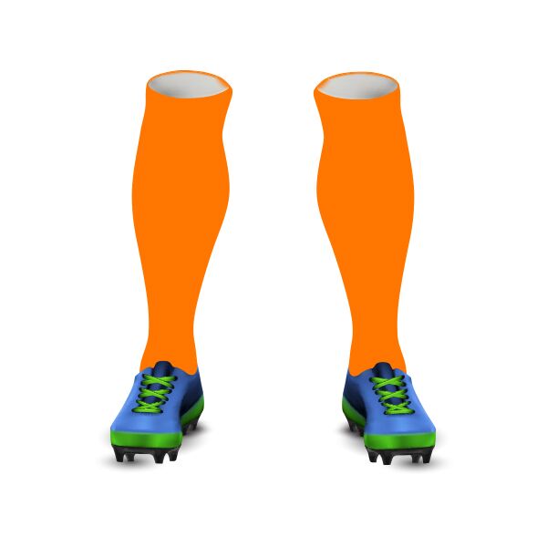 ROIWFA Socks Thumbnail