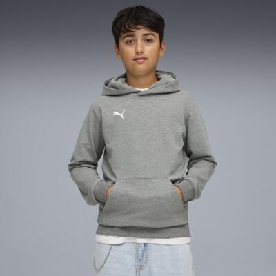 Puma teamGOAL Casuals Hoody Thumbnail