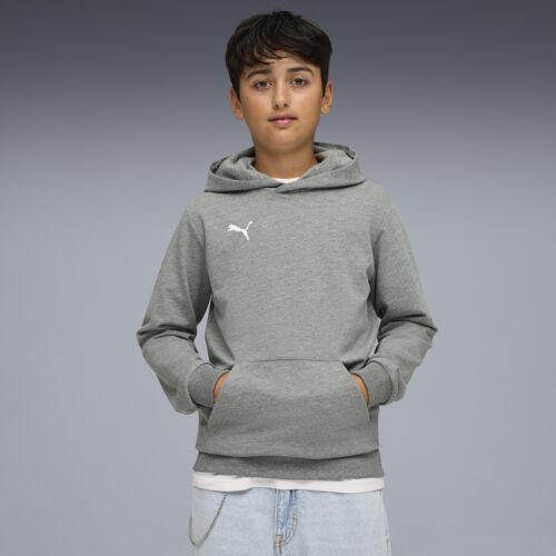 Puma teamGOAL Casuals Hoody Thumbnail