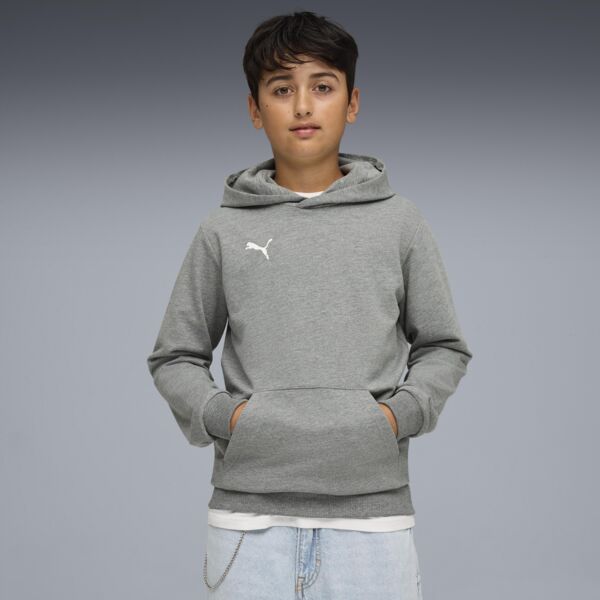 Puma teamGOAL Casuals Hoody Thumbnail