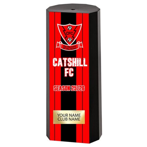 Catshill FC Bespoke Trophy Thumbnail